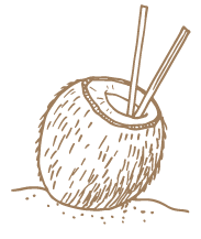 Fresh coconut drink icon representing tropical refreshment at Sea Seeker Krabi Resort in Ao Nang, Krabi, Thailand